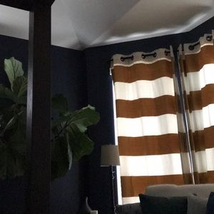 Meet your Posher, Dan